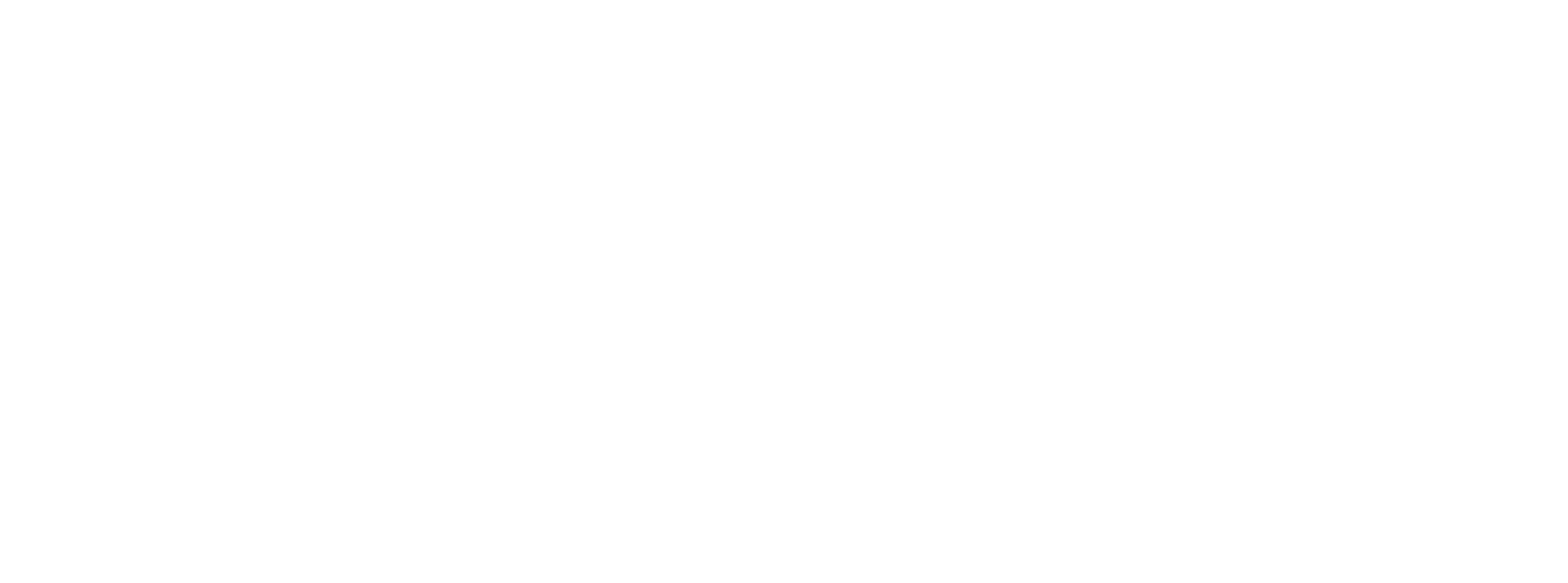 Teknogirişim Rozeti