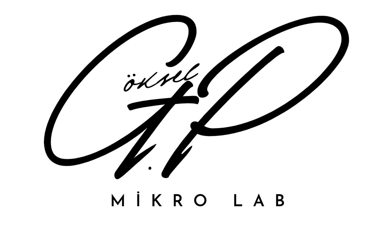 Mikro Lab